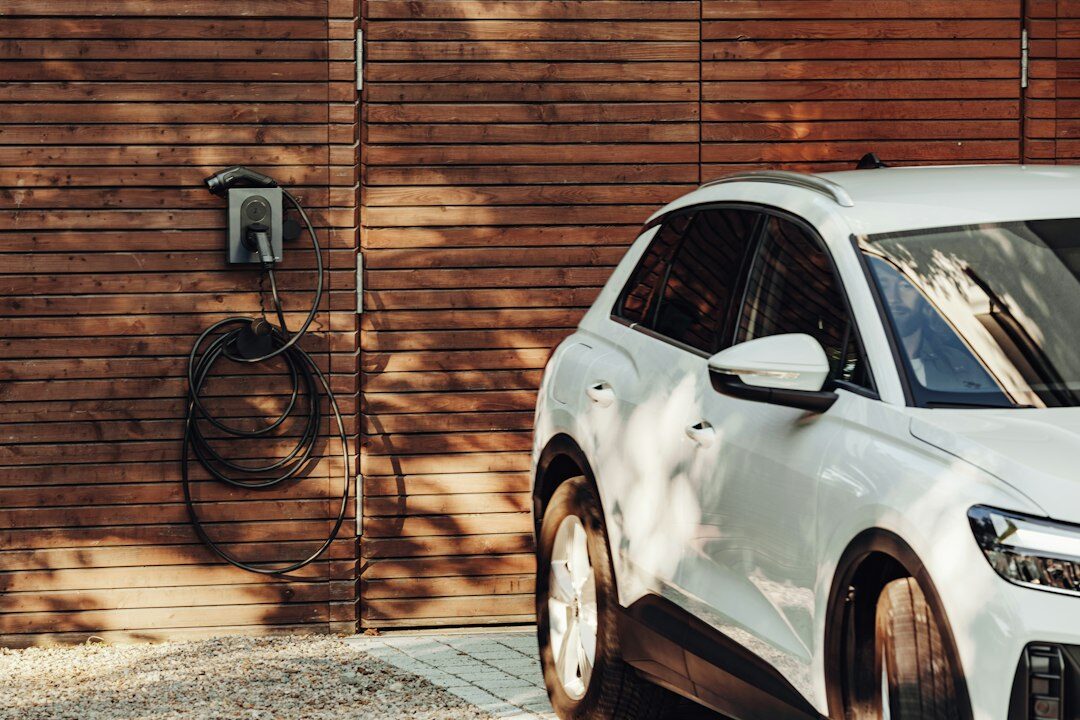 sustainable electric vehicles