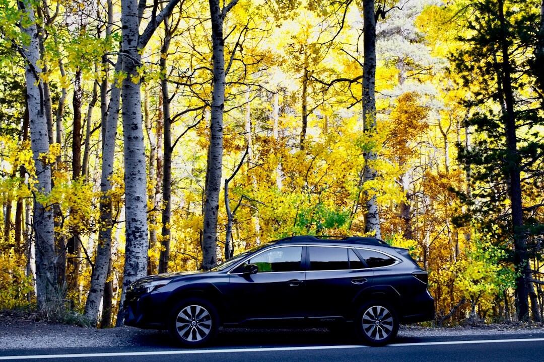Black premium SUV parked outdoors